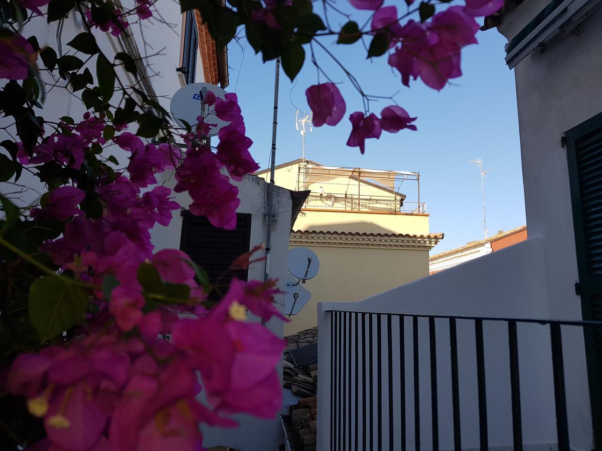 Residenza Borgo Antico Villa Termoli Exterior photo